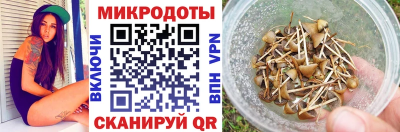 Купить закладки  Багратионовск  Галлюциногенные грибы Psilocybine cubensis 
